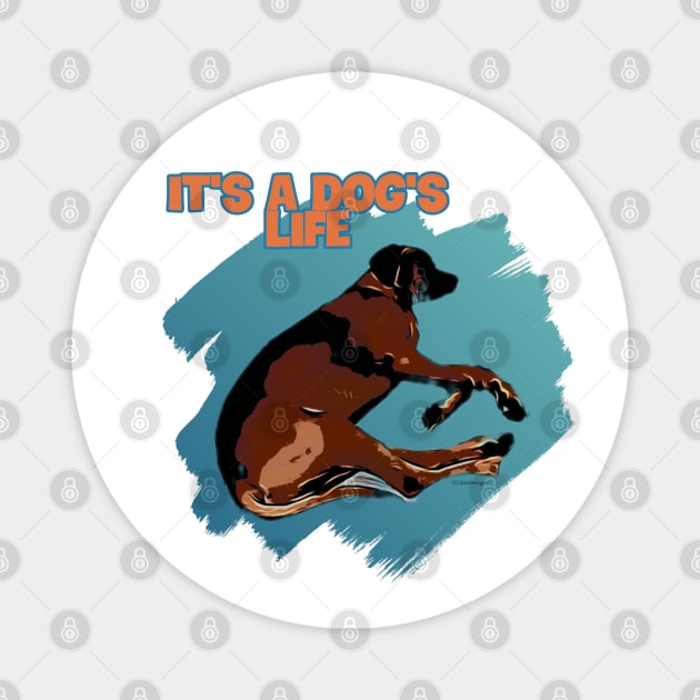 It's a dog's life Magnet by qzizdesigns